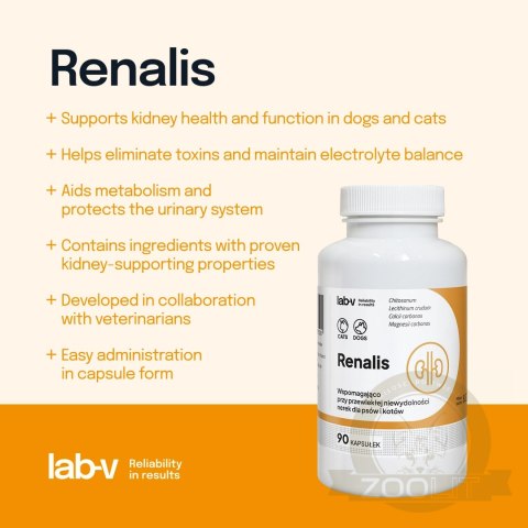 Lab-v Renalis Wsparcie Przy Przewlekłej Niewydolności Nerek Dla Psów I Kotów 90 Kapsułek