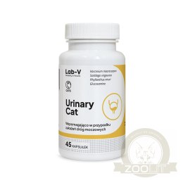 Lab-v Urinary Cat Wsparcie Układu Moczowego Dla Kotów 45 Kapsułek