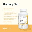 Lab-v Urinary Cat Wsparcie Układu Moczowego Dla Kotów 90 Kapsułek