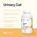 Lab-v Urinary Cat Wsparcie Układu Moczowego Dla Kotów 90 Kapsułek