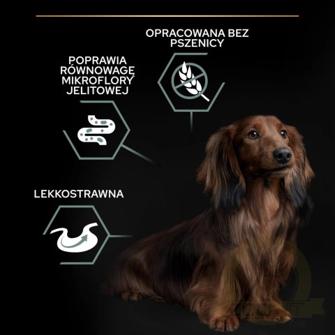 PRO PLAN Sensitive Digestion Small & Mini Adult Indyk 2,5kg