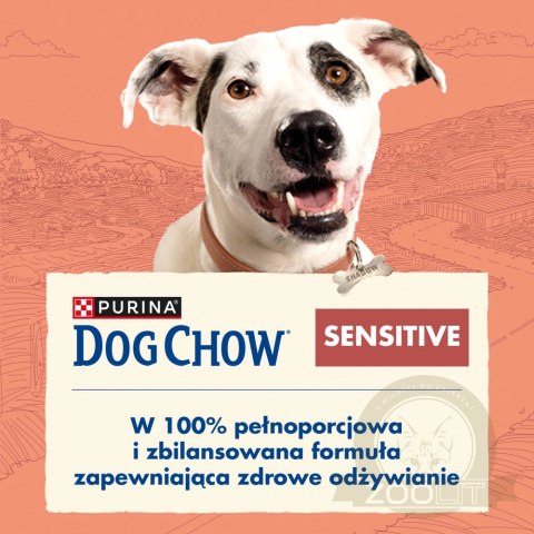 PURINA Dog Chow Adult Sensitive Salmon 16,5kg (14kg + 2,5kg GRATIS)
