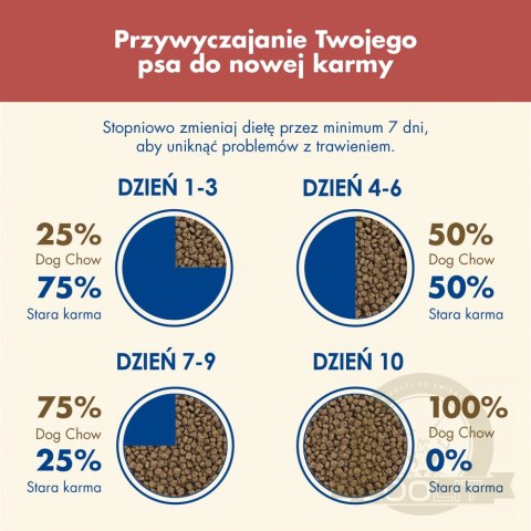 PURINA Dog Chow Adult Sensitive Salmon 16,5kg (14kg + 2,5kg GRATIS)