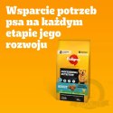 Pedigree Adult Professional Nutrition Drób Warzywa 12kg
