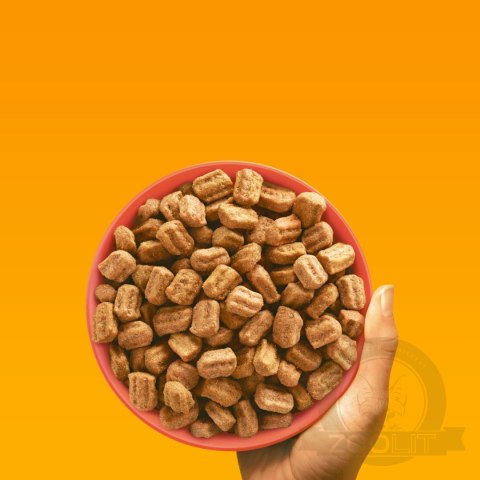 Pedigree Adult Professional Nutrition Drób Warzywa 12kg