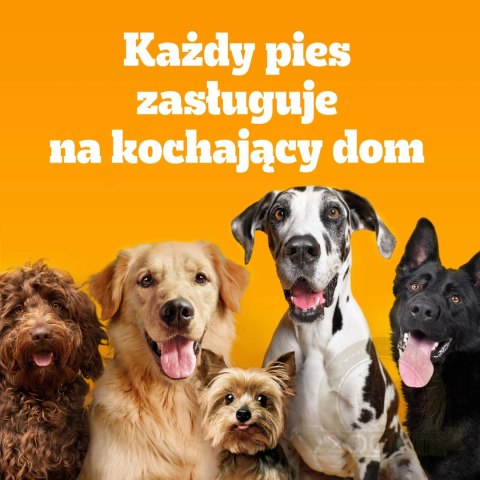 Pedigree Adult Professional Nutrition Drób Warzywa 12kg