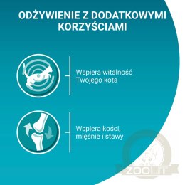 Purina One Adult Karma Dla Kota Z Kurczakiem I Zieloną Fasolką 85g
