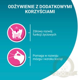 Purina One Junior Karma Dla Kociąt Z Łososiem I Marchewką 85g