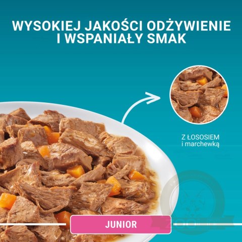 Purina One Junior Karma Dla Kociąt Z Łososiem I Marchewką 85g