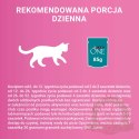 Purina One Junior Karma Dla Kociąt Z Łososiem I Marchewką 85g
