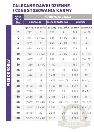 Royal Canin Adult Karma Mokra Dla Psa 12x100g