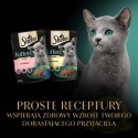 Sheba Kitten Wybór Smaków W Sosie Karma Dla Kociąt 40x85g