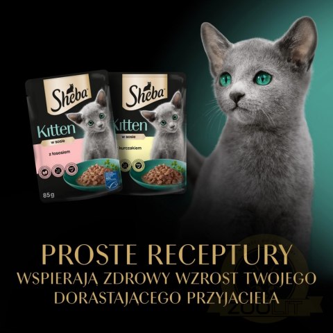 Sheba Kitten Wybór Smaków W Sosie Karma Dla Kociąt 40x85g
