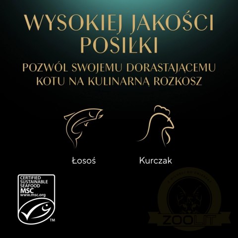 Sheba Kitten Wybór Smaków W Sosie Karma Dla Kociąt 40x85g