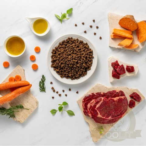 VetExpert Raw Paleo Ultra Beef Adult Medium/Large 10kg