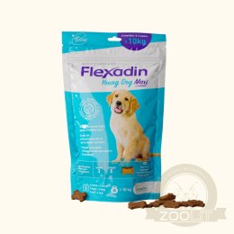 Vetoquinol Flexadin Young Dog Maxi Kąski Dla Psa 60 Sztuk