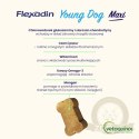 Vetoquinol Flexadin Young Dog Maxi Kąski Dla Psa 60 Sztuk