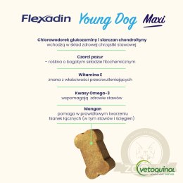 Vetoquinol Flexadin Young Dog Maxi Kąski Dla Psa 60 Sztuk