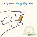 Vetoquinol Flexadin Young Dog Maxi Kąski Dla Psa 60 Sztuk