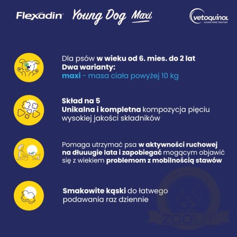 Vetoquinol Flexadin Young Dog Maxi Kąski Dla Psa 60 Sztuk