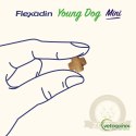 Vetoquinol Flexadin Young Dog Mini Kąski Dla Psa 60 Sztuk