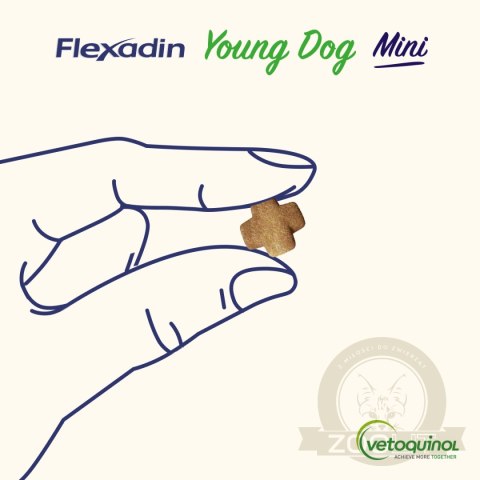 Vetoquinol Flexadin Young Dog Mini Kąski Dla Psa 60 Sztuk