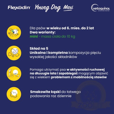 Vetoquinol Flexadin Young Dog Mini Kąski Dla Psa 60 Sztuk