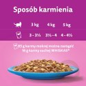 Whiskas Adult Saszetki 40 x 85g Rybne Przysmaki - Mokra Karma Dla Kota
