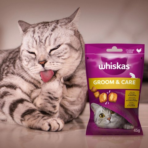 Whiskas Zdrowy Blask Przysmak Dla Kota Z Kurczakiem 45g