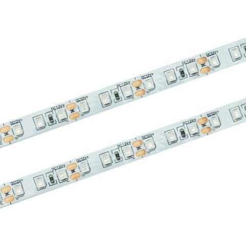 Taśma LED 120 SMD 2835 IP20 - niebieska rolka 50m
