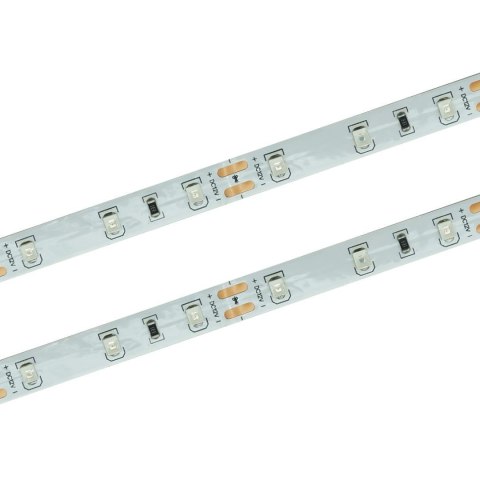 Taśma LED 60 SMD 2835 IP20 - niebieska 4,8W/m