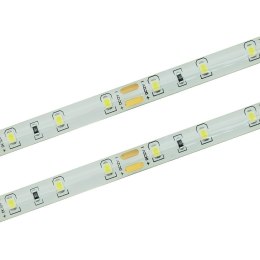 Taśma LED 60 SMD 2835 IP65 - zimna4,8W/m