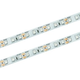 Taśma LED 120 SMD 2835 IP20 - zielona rolka 50m