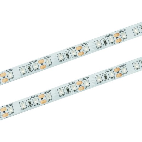 Taśma LED 120 SMD 2835 IP20 - zielona rolka 50m