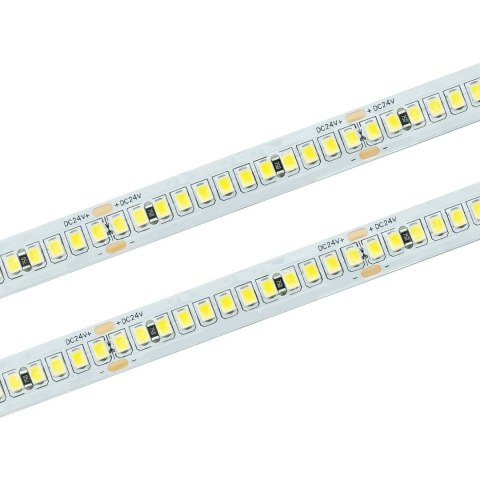 Taśma LED 240 SMD 2835 IP20 6000K 24V