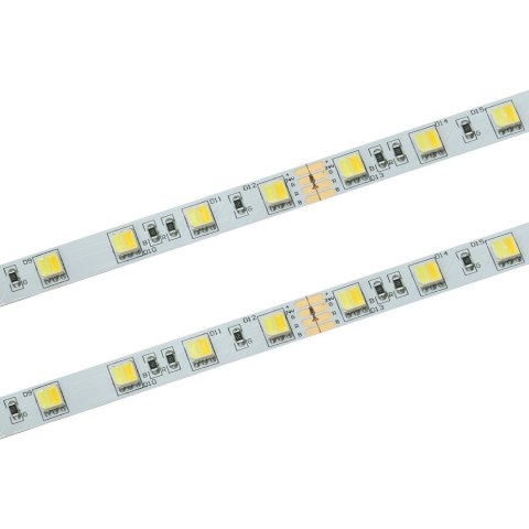 Taśma LED 60 SMD 5025 ciepła/zimna 24V CCT 3000-6500K ciepła, neutralna, zimna