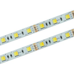 Taśma LED 60 SMD 5025 ciepła/zimna CCT 3000-6500K rolka 50m