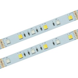 Taśma LED 60 SMD IP20 - RGB+CCT