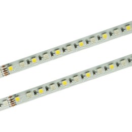 Taśma LED PRO 96 SMD 4040 RGB+NW 24Vrolka 30m