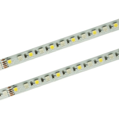 Taśma LED PRO 96 SMD 4040 RGB+NW 24Vrolka 30m