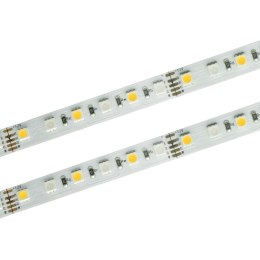 Taśma LED PRO 96 SMD 4040 RGB+W 22W/m