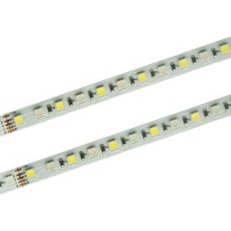 Taśma LED PRO 96 SMD 4040 RGB+W 24V rolka 30m