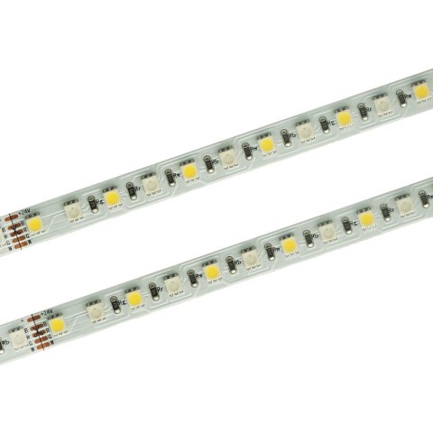 Taśma LED PRO 96 SMD 4040 RGB+WW 24V rolka 30m