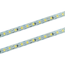 Taśma LED 120 SMD skrętna IP20 6000K7W/m rolka 10m