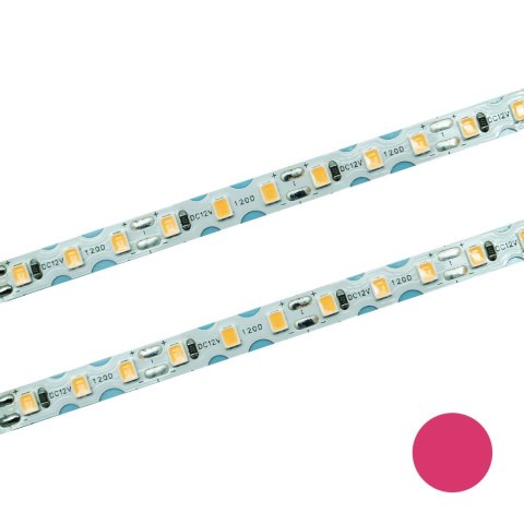 Taśma LED 120 SMD skrętna IP20 różowa7W/m rolka 10m