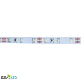 Taśma LED 60 SMD 3014 IP20 - ciepła