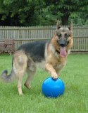 Boomer Ball L - 8" / 20cm niebieska