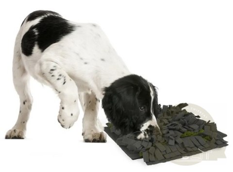 Flamingo Mata węchowa Amigo duża [518998]