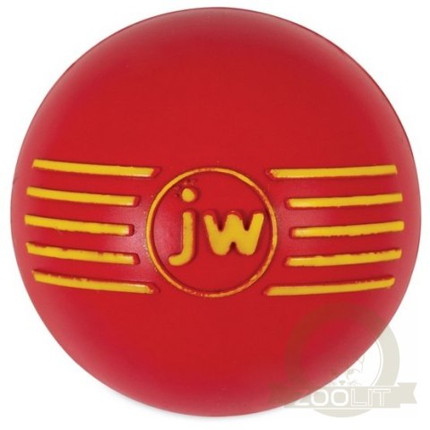 JW Pet iSqueak Ball Medium [32124D]