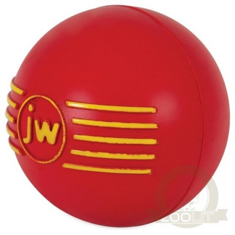 JW Pet iSqueak Ball Medium [32124D]